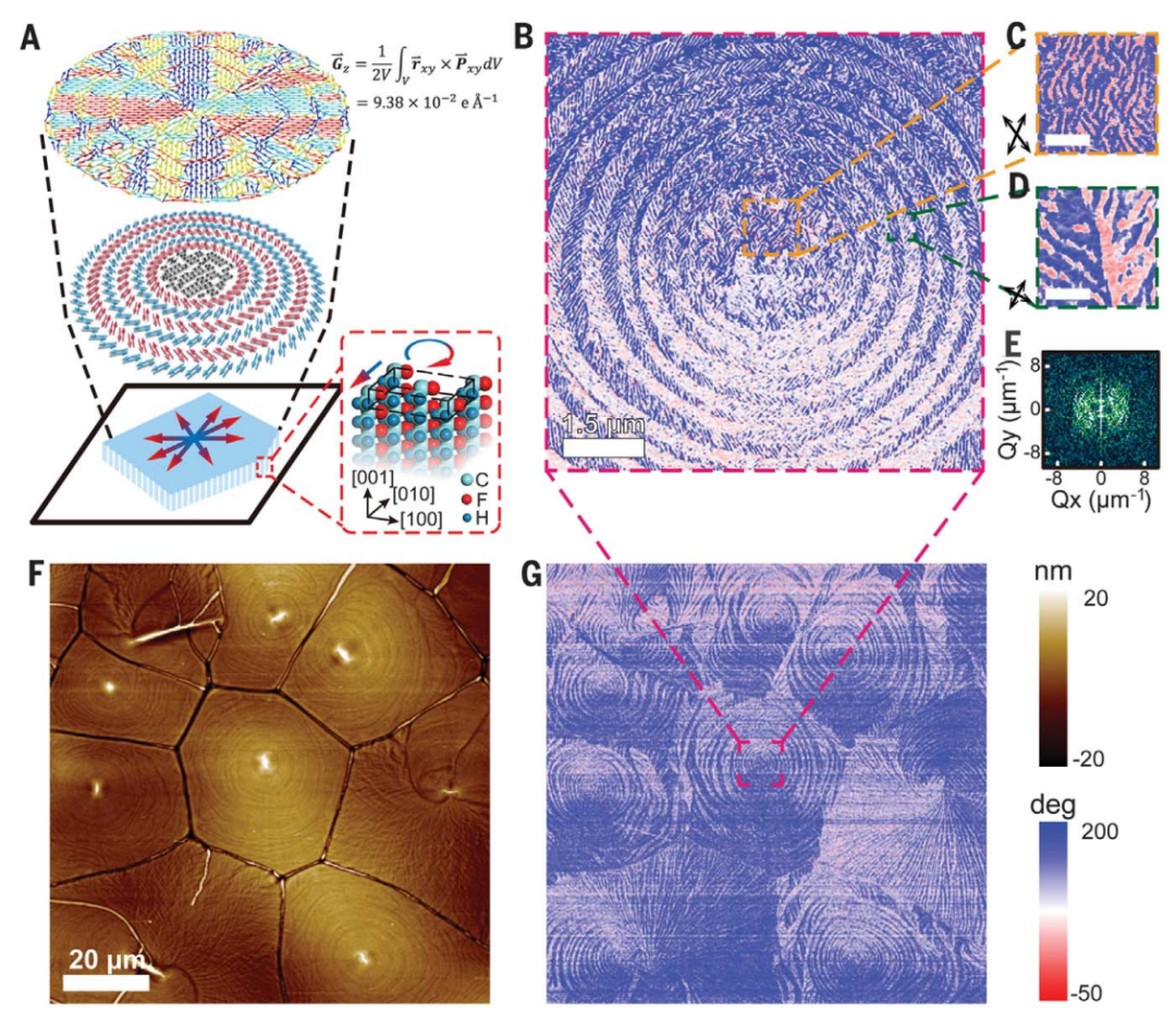 图1 环向极性拓扑的观察 图1 环向极性拓扑的观察